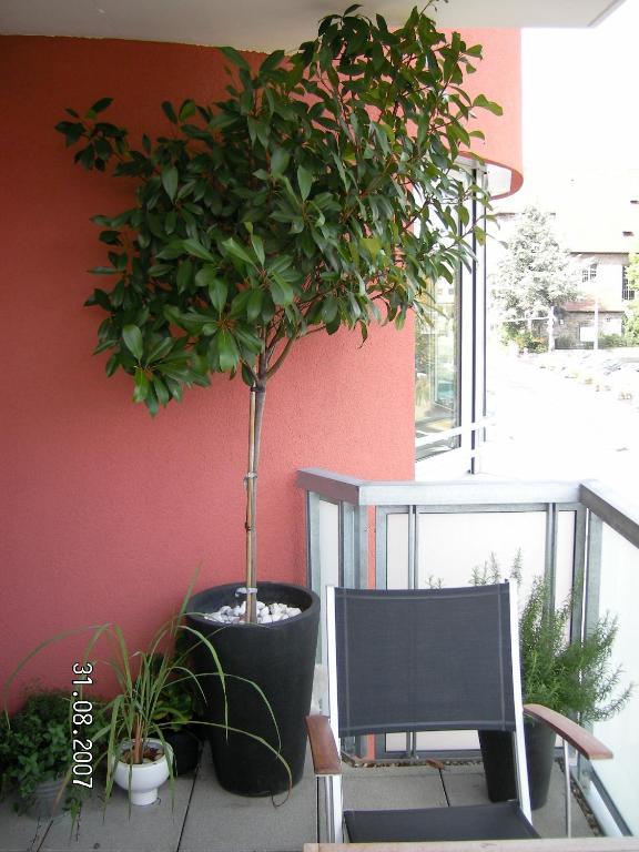 Appartement am Salamanderpark Kornwestheim Exteriör bild